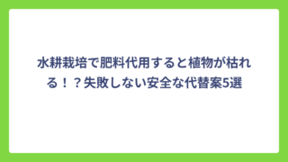水耕栽培で肥料代用すると植物が枯れる！？失敗しない安全な代替案5選
