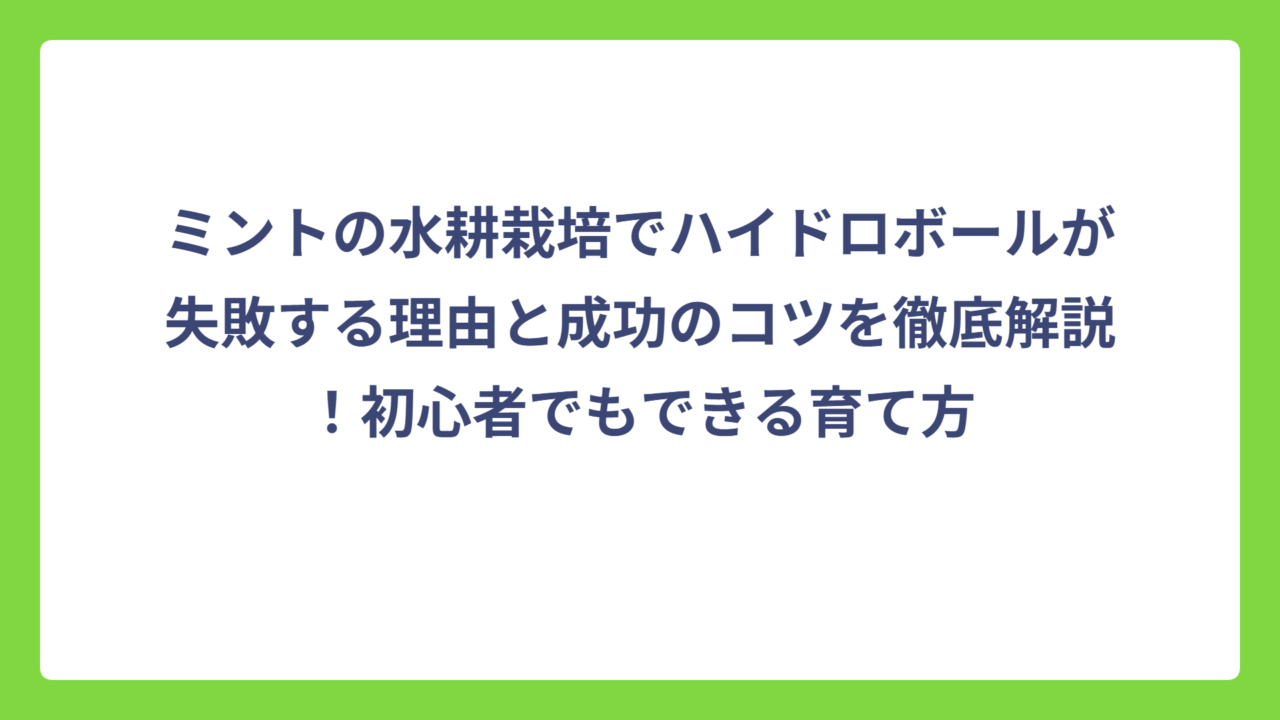 ミントの水耕栽培でハイドロボールが失敗する理由と成功のコツを徹底解説！初心者でもできる育て方
