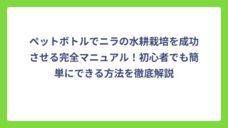 ペットボトルでニラの水耕栽培を成功させる完全マニュアル！初心者でも簡単にできる方法を徹底解説