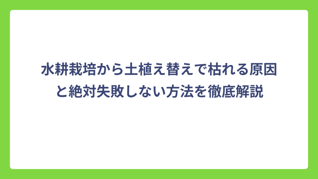 水耕栽培から土植え替えで枯れる原因と絶対失敗しない方法を徹底解説