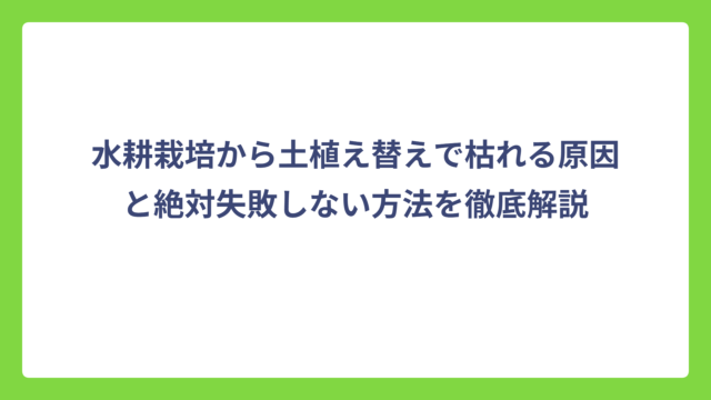 水耕栽培から土植え替えで枯れる原因と絶対失敗しない方法を徹底解説
