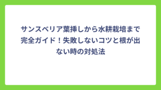 サンスベリア葉挿しから水耕栽培まで完全ガイド！失敗しないコツと根が出ない時の対処法