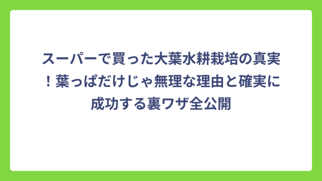 スーパーで買った大葉水耕栽培の真実！葉っぱだけじゃ無理な理由と確実に成功する裏ワザ全公開