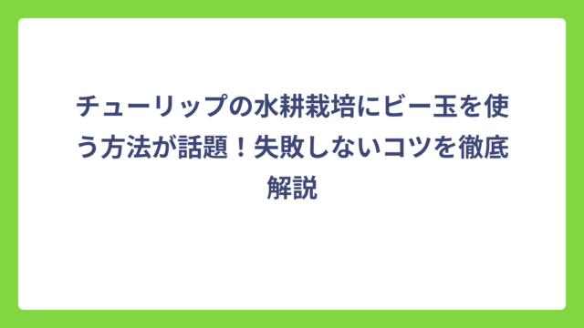 チューリップの水耕栽培にビー玉を使う方法が話題！失敗しないコツを徹底解説