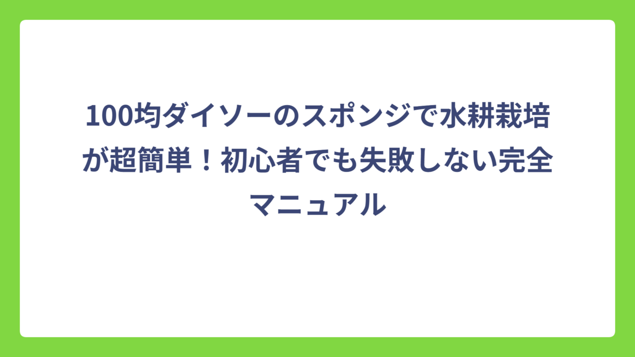 100均ダイソーのスポンジで水耕栽培が超簡単！初心者でも失敗しない完全マニュアル