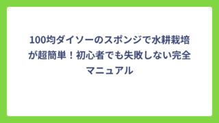 100均ダイソーのスポンジで水耕栽培が超簡単！初心者でも失敗しない完全マニュアル