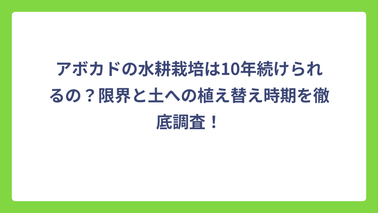アボカドの水耕栽培は10年続けられるの？限界と土への植え替え時期を徹底調査！