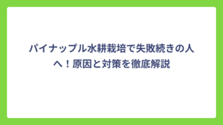 パイナップル水耕栽培で失敗続きの人へ！原因と対策を徹底解説