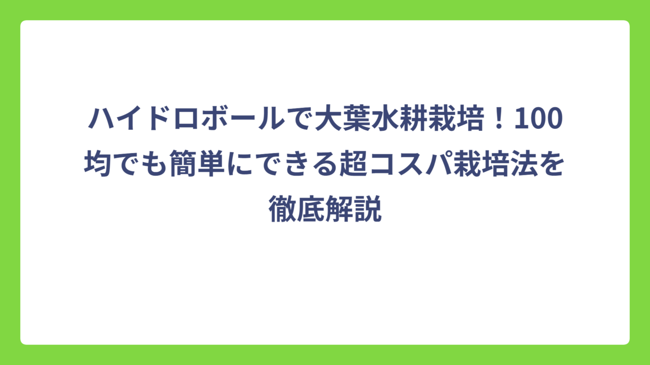 ハイドロボールで大葉水耕栽培！100均でも簡単にできる超コスパ栽培法を徹底解説