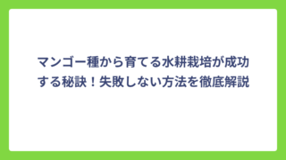 マンゴー種から育てる水耕栽培が成功する秘訣！失敗しない方法を徹底解説