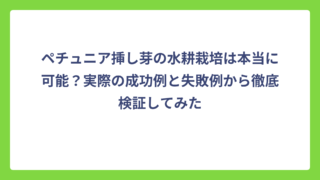 ペチュニア挿し芽の水耕栽培は本当に可能？実際の成功例と失敗例から徹底検証してみた