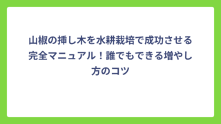 山椒の挿し木を水耕栽培で成功させる完全マニュアル！誰でもできる増やし方のコツ