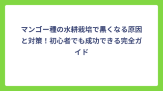 マンゴー種の水耕栽培で黒くなる原因と対策！初心者でも成功できる完全ガイド