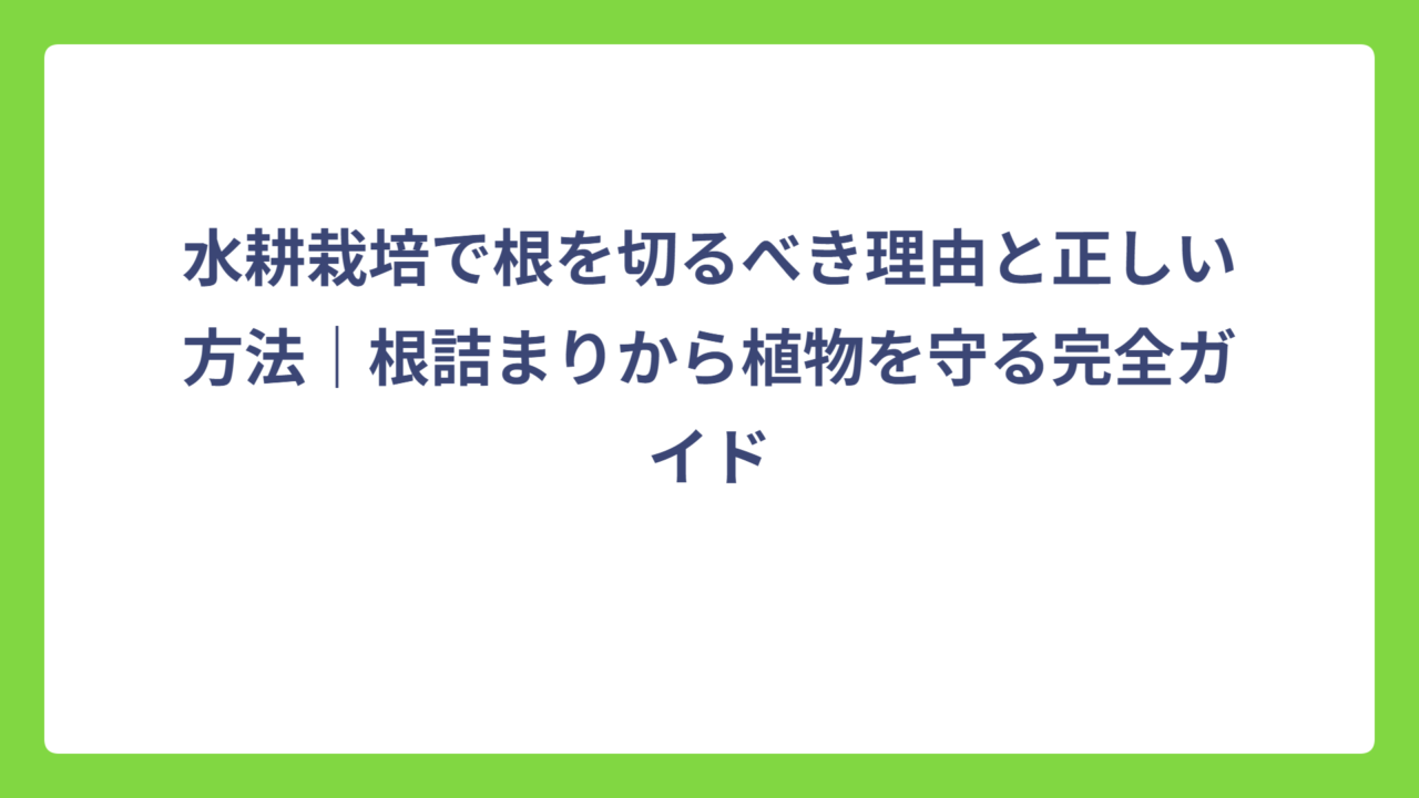 水耕栽培で根を切るべき理由と正しい方法｜根詰まりから植物を守る完全ガイド