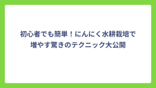 初心者でも簡単！にんにく水耕栽培で増やす驚きのテクニック大公開