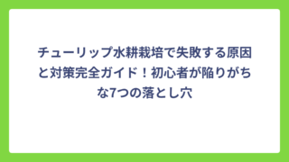 チューリップ水耕栽培で失敗する原因と対策完全ガイド！初心者が陥りがちな7つの落とし穴
