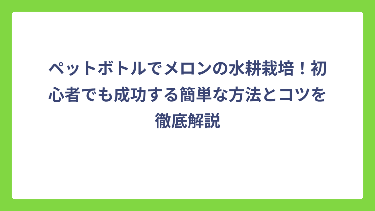ペットボトルでメロンの水耕栽培！初心者でも成功する簡単な方法とコツを徹底解説