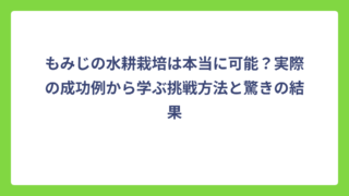 もみじの水耕栽培は本当に可能？実際の成功例から学ぶ挑戦方法と驚きの結果