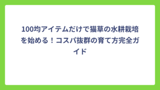 100均アイテムだけで猫草の水耕栽培を始める！コスパ抜群の育て方完全ガイド
