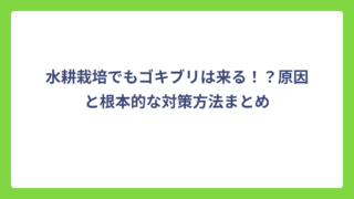 水耕栽培でもゴキブリは来る！？原因と根本的な対策方法まとめ
