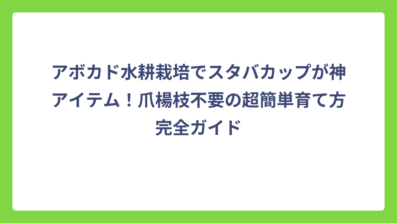 アボカド水耕栽培でスタバカップが神アイテム！爪楊枝不要の超簡単育て方完全ガイド