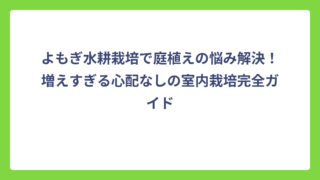 よもぎ水耕栽培で庭植えの悩み解決！増えすぎる心配なしの室内栽培完全ガイド