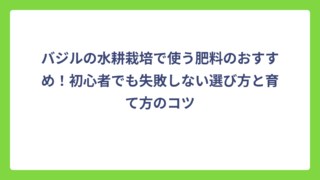 バジルの水耕栽培で使う肥料のおすすめ！初心者でも失敗しない選び方と育て方のコツ