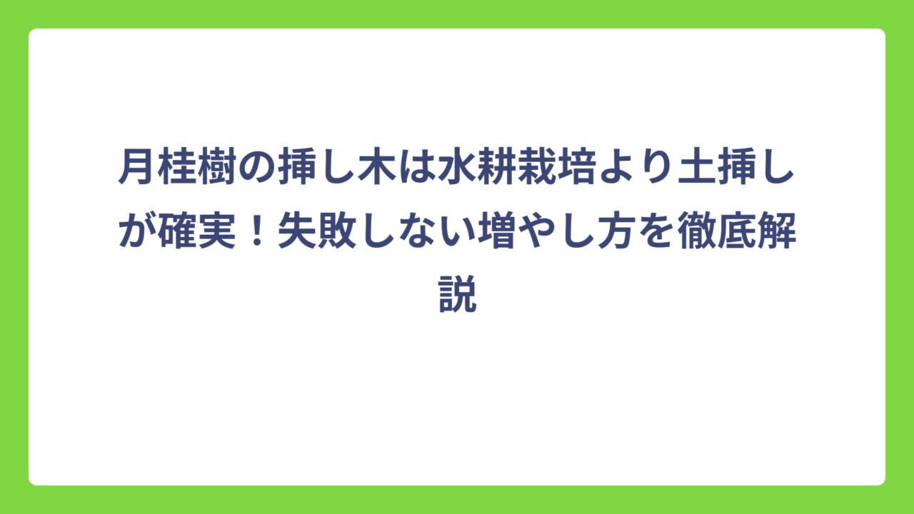 月桂樹の挿し木は水耕栽培より土挿しが確実！失敗しない増やし方を徹底解説