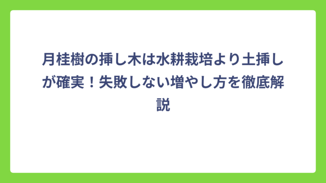 月桂樹の挿し木は水耕栽培より土挿しが確実！失敗しない増やし方を徹底解説