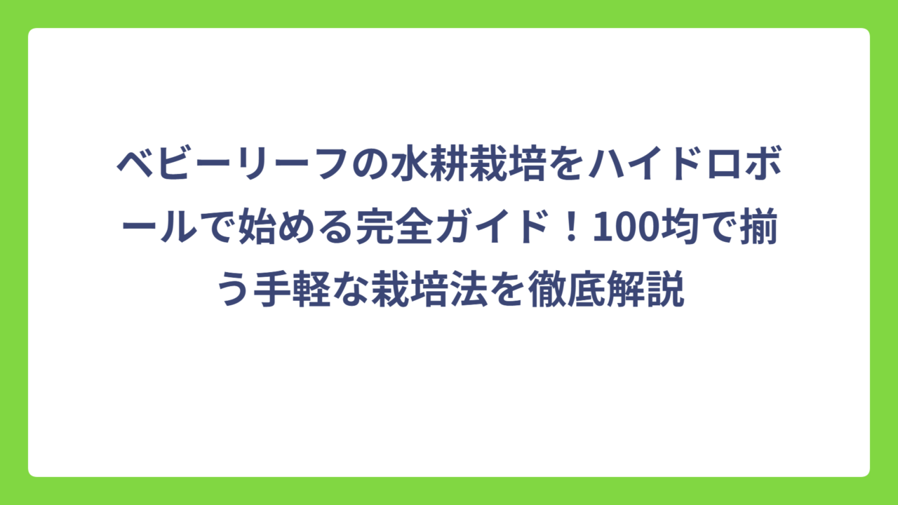 ベビーリーフの水耕栽培をハイドロボールで始める完全ガイド！100均で揃う手軽な栽培法を徹底解説