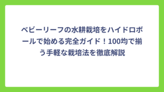ベビーリーフの水耕栽培をハイドロボールで始める完全ガイド！100均で揃う手軽な栽培法を徹底解説