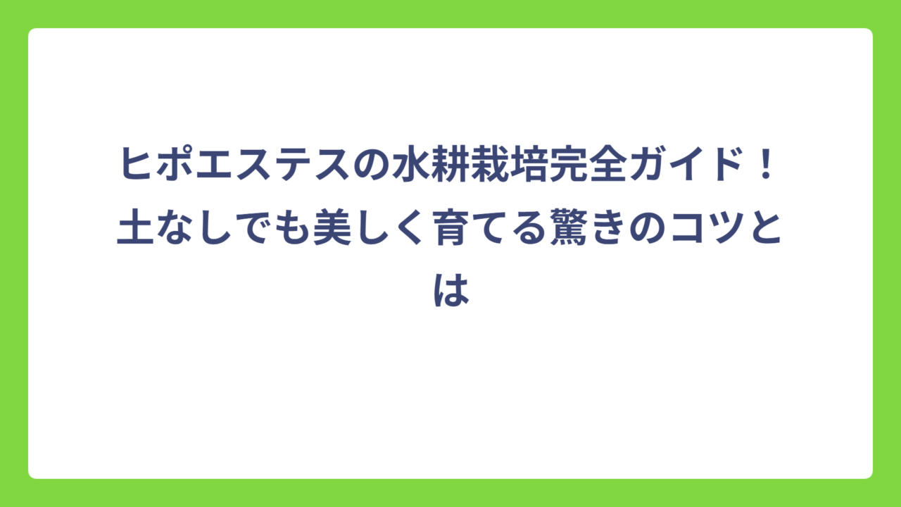 ヒポエステスの水耕栽培完全ガイド！土なしでも美しく育てる驚きのコツとは