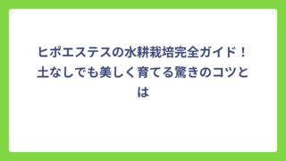 ヒポエステスの水耕栽培完全ガイド！土なしでも美しく育てる驚きのコツとは