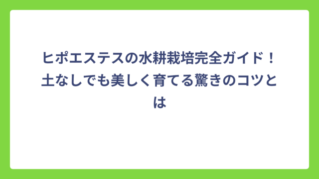ヒポエステスの水耕栽培完全ガイド！土なしでも美しく育てる驚きのコツとは