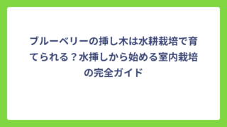 ブルーベリーの挿し木は水耕栽培で育てられる？水挿しから始める室内栽培の完全ガイド