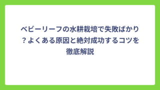 ベビーリーフの水耕栽培で失敗ばかり？よくある原因と絶対成功するコツを徹底解説