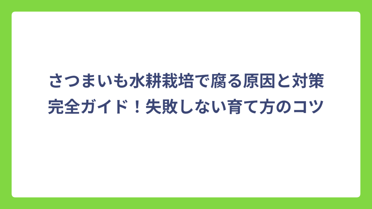 さつまいも水耕栽培で腐る原因と対策完全ガイド！失敗しない育て方のコツ