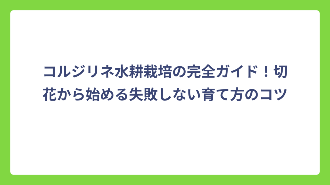 コルジリネ水耕栽培の完全ガイド！切花から始める失敗しない育て方のコツ