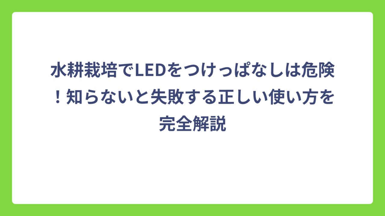 水耕栽培でLEDをつけっぱなしは危険！知らないと失敗する正しい使い方を完全解説