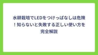 水耕栽培でLEDをつけっぱなしは危険！知らないと失敗する正しい使い方を完全解説