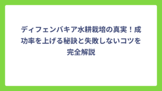 ディフェンバキア水耕栽培の真実！成功率を上げる秘訣と失敗しないコツを完全解説
