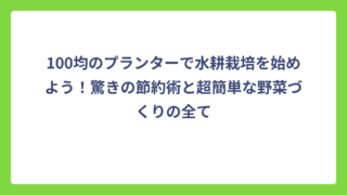 100均のプランターで水耕栽培を始めよう！驚きの節約術と超簡単な野菜づくりの全て