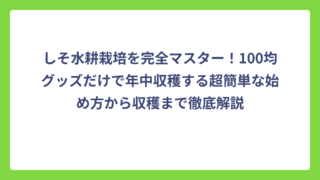 しそ水耕栽培を完全マスター！100均グッズだけで年中収穫する超簡単な始め方から収穫まで徹底解説