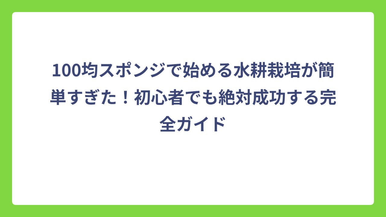 100均スポンジで始める水耕栽培が簡単すぎた！初心者でも絶対成功する完全ガイド