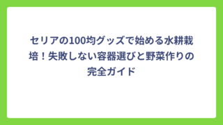 セリアの100均グッズで始める水耕栽培！失敗しない容器選びと野菜作りの完全ガイド