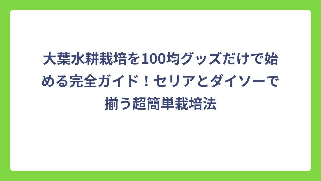 大葉水耕栽培を100均グッズだけで始める完全ガイド！セリアとダイソーで揃う超簡単栽培法