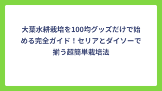 大葉水耕栽培を100均グッズだけで始める完全ガイド！セリアとダイソーで揃う超簡単栽培法