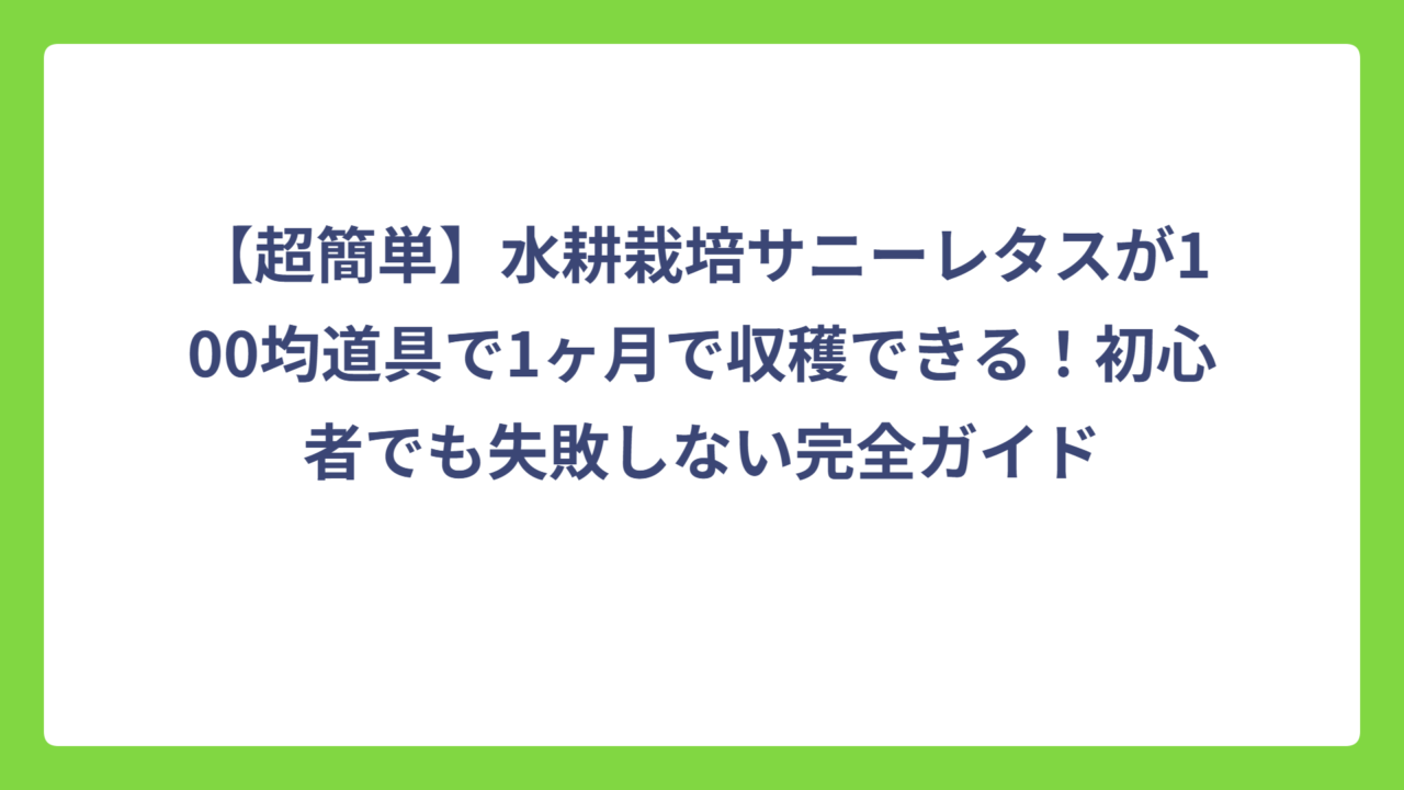 【超簡単】水耕栽培サニーレタスが100均道具で1ヶ月で収穫できる！初心者でも失敗しない完全ガイド