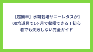 【超簡単】水耕栽培サニーレタスが100均道具で1ヶ月で収穫できる！初心者でも失敗しない完全ガイド