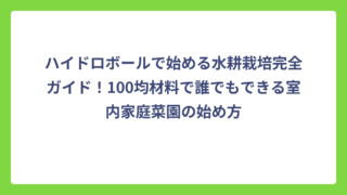ハイドロボールで始める水耕栽培完全ガイド！100均材料で誰でもできる室内家庭菜園の始め方